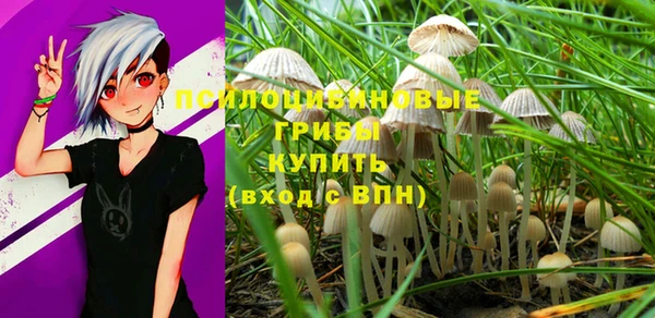 спиды Алексеевка