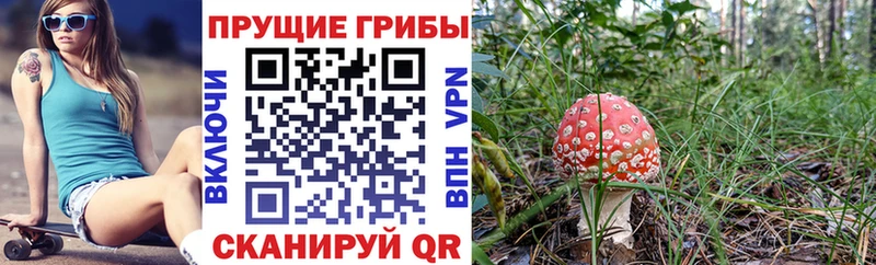 Галлюциногенные грибы мицелий  Спасск-Рязанский 